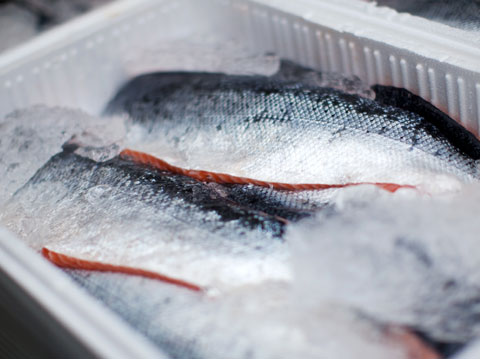 two raw fish in an ice box