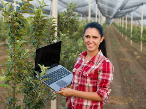 Farmer holding laptop in an undercover garden